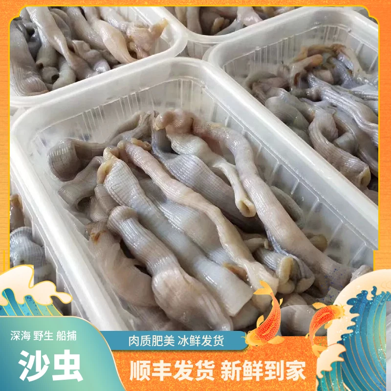 福建海鲜【沙虫】当天现杀冰鲜发货一盒半斤 煮汤爆炒 土笋冻