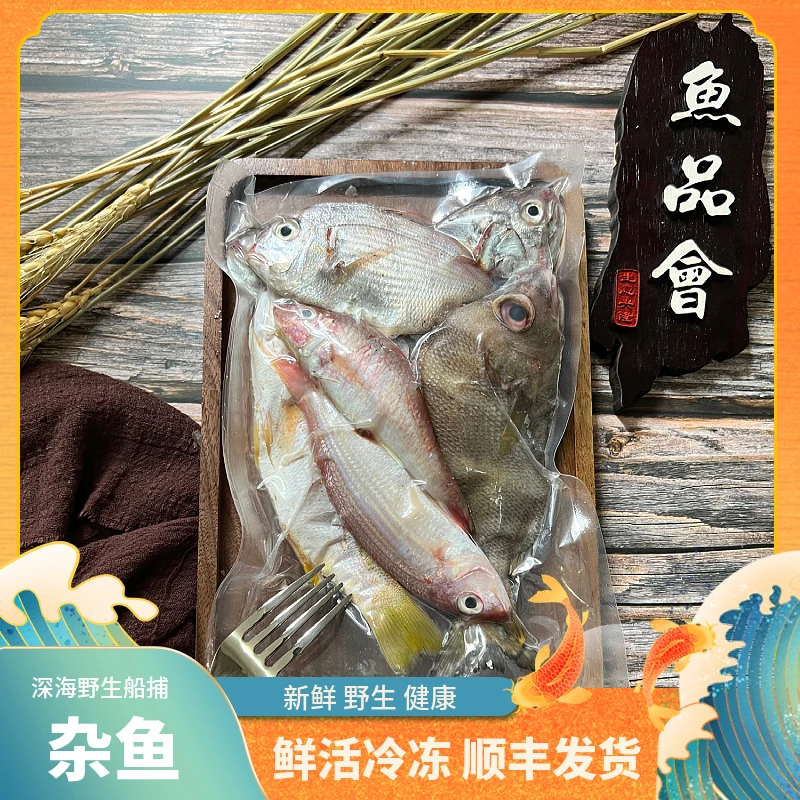 福建船捕【杂鱼】省内当天送达