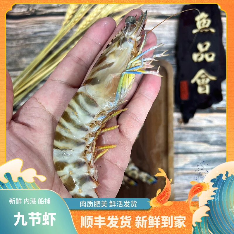 福建船捕【大九节虾】省内当天送达