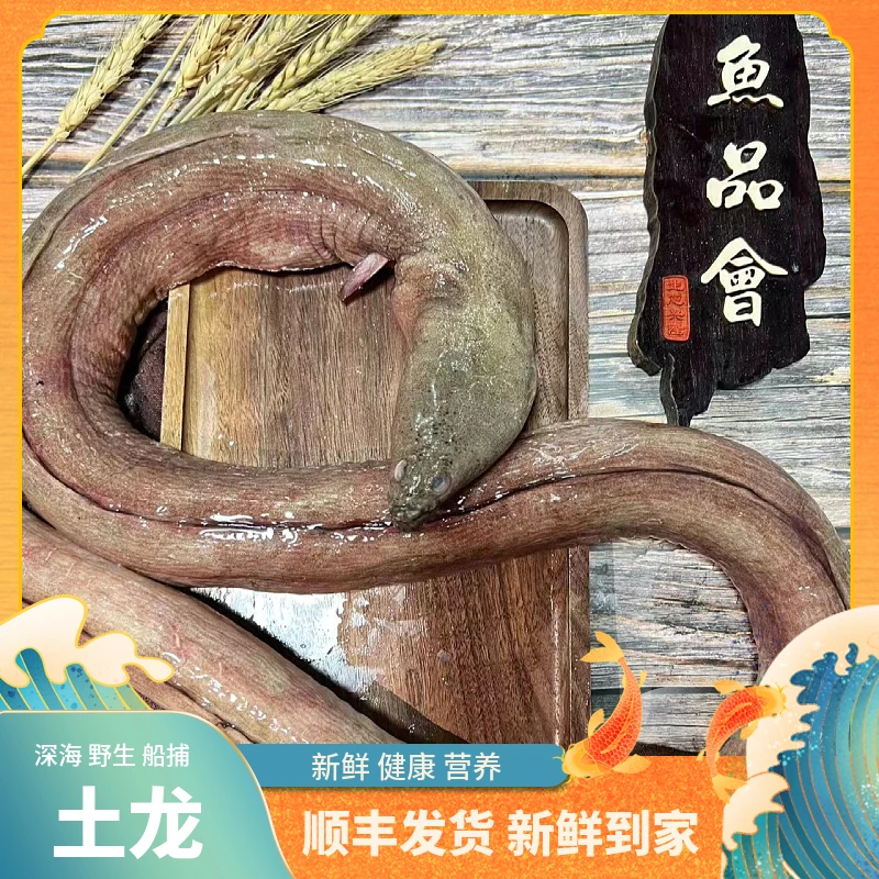 福建船捕【土笼】顺丰当天冰鲜发货