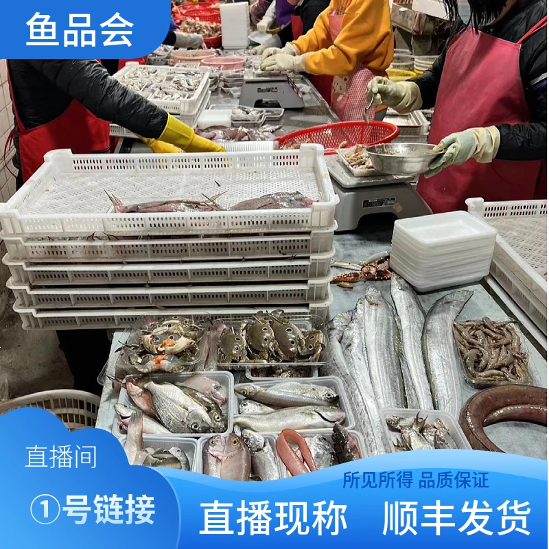 福建船捕【1号链接】顺丰当天冰鲜发货