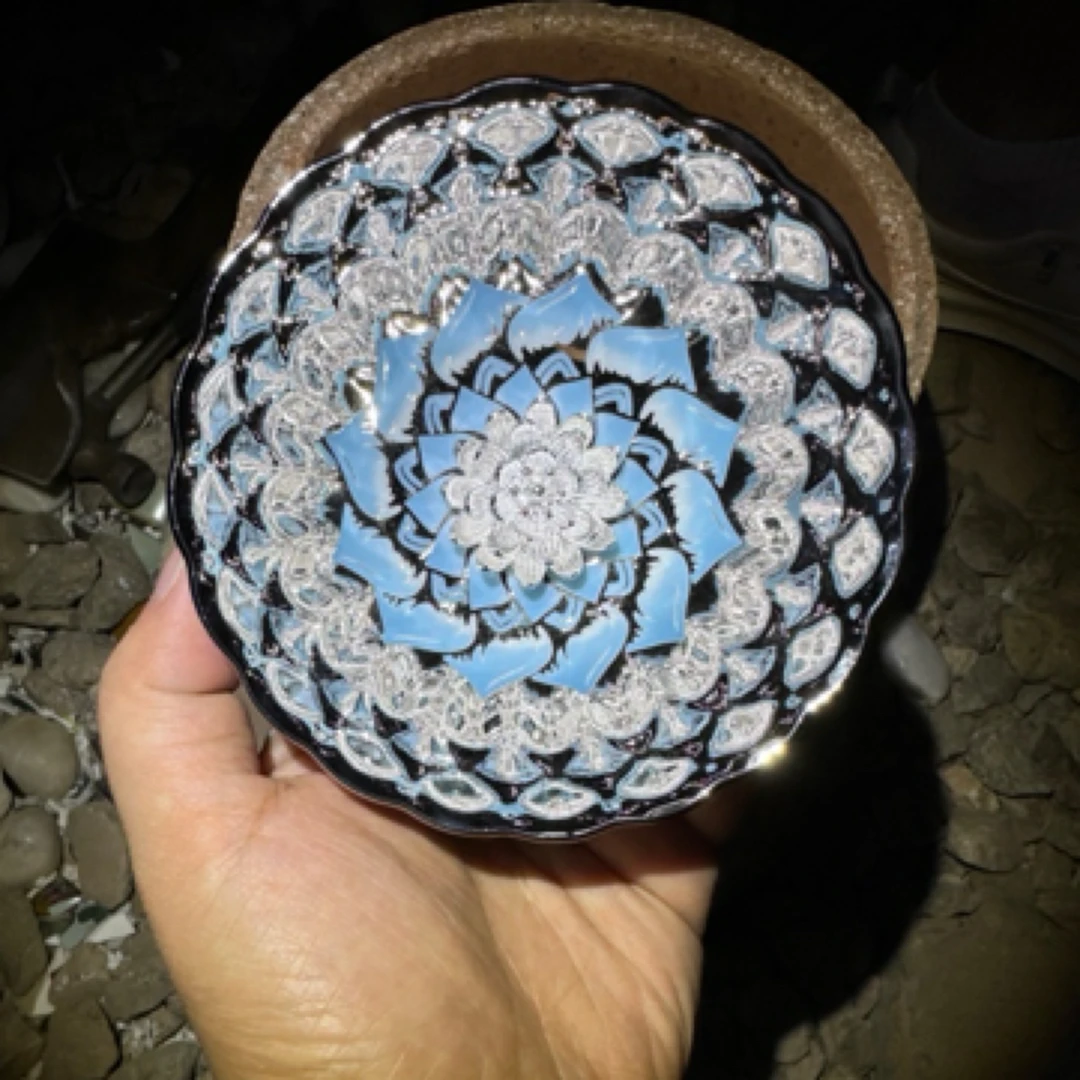 高端茶器 蓝色妖姬莲花 主人杯zd