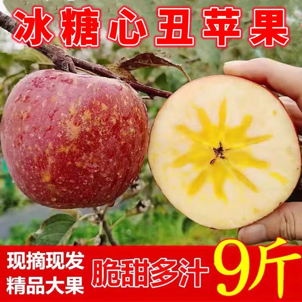 2024丑苹果红富士当季新鲜水果脆甜冰糖心苹果5斤现摘高山
