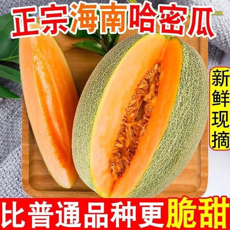 【超低价】现摘现发哈密瓜清甜应季水果新鲜蜜瓜生鲜脆嫩带箱3斤9.9