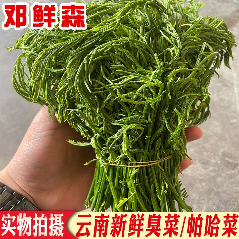 云南臭菜新鲜蔬菜帕哈合金欢傣族绿叶宴帕哈羽叶煎鸡蛋泰国重口味