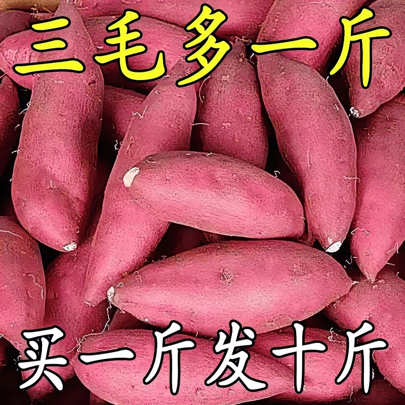【新店特惠】农村糯正宗沙地蜜薯黄心板栗薯番薯地瓜红芋装软糯香甜