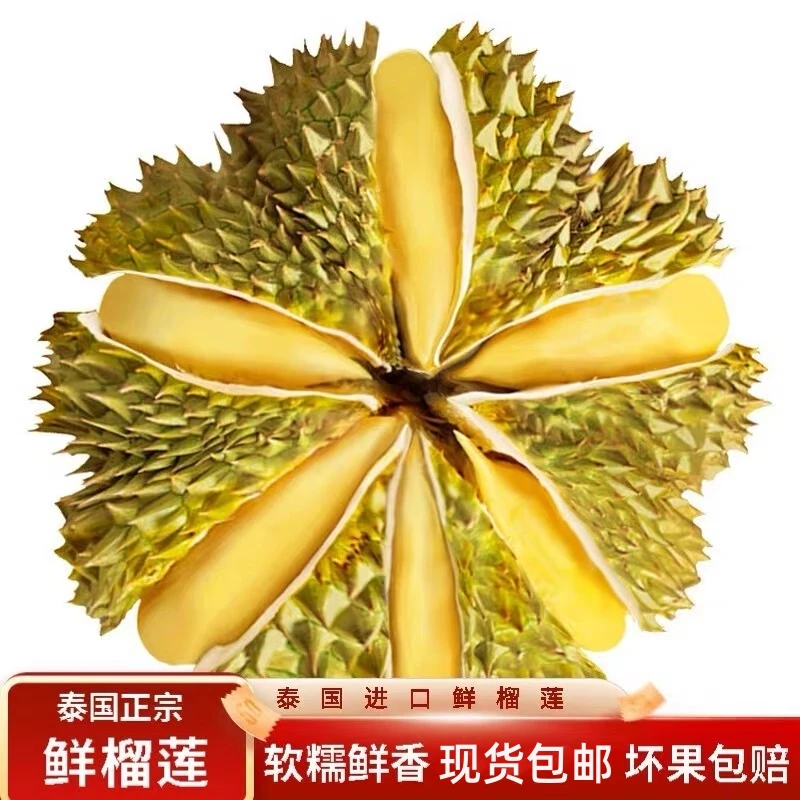 泰国金枕榴莲新鲜带壳一整个果肉饱满香甜软糯 报恩金枕头 巴掌果