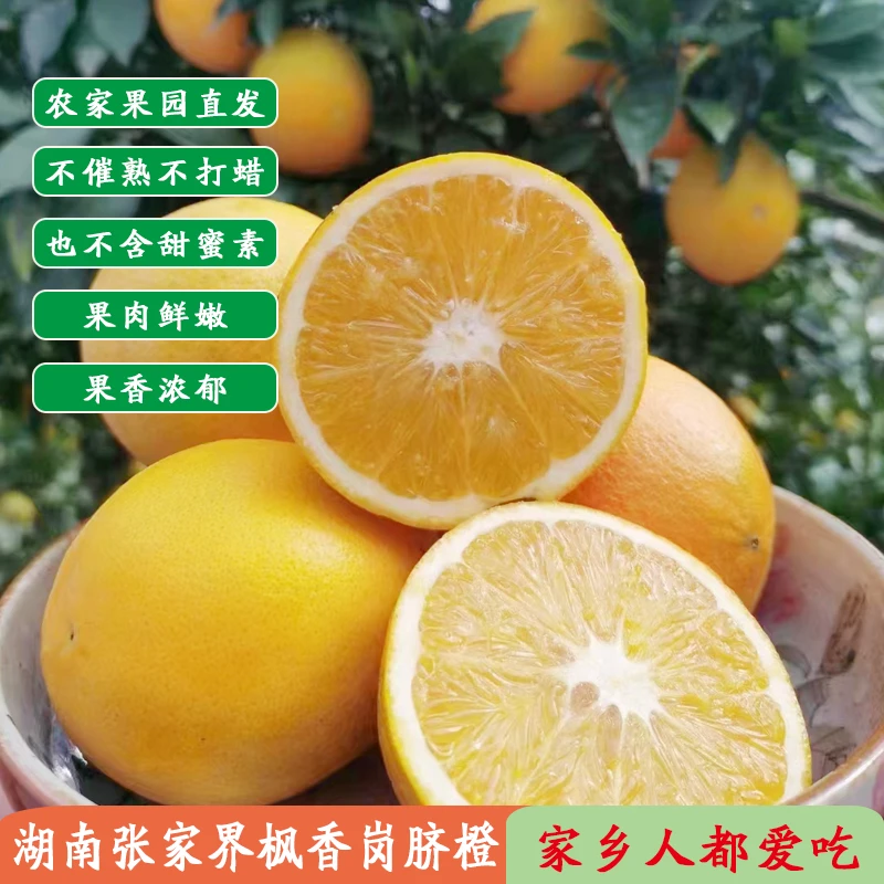 脐橙新鲜水果甜橙子酸甜可口现摘直发西藏新疆蒙古等偏远地区除外