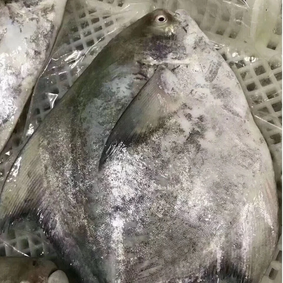 斗鲳鱼新鲜冷冻精品鲳鱼肉质细腻肥厚100-1300g/只