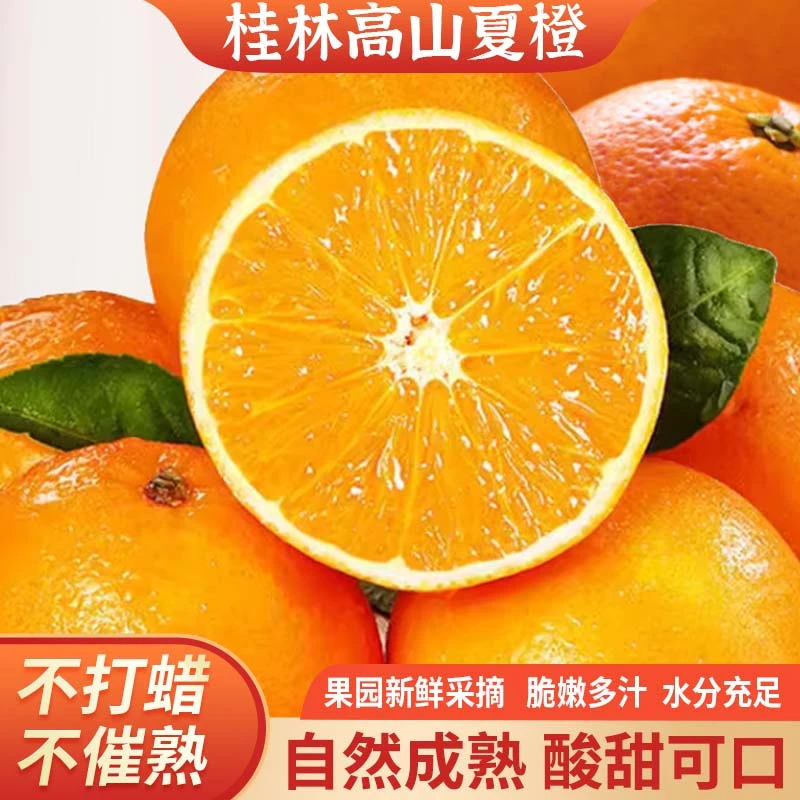 广西桂林高山夏橙5斤小小果现摘新鲜应季水果香甜