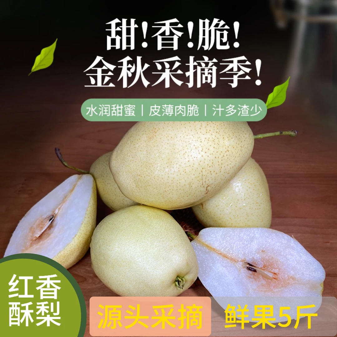 密云红香酥梨5斤新鲜