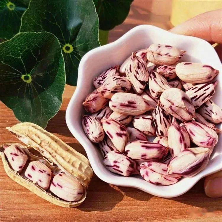 云南生食彩色营养高七彩花生一斤一袋带壳发货口感甘甜