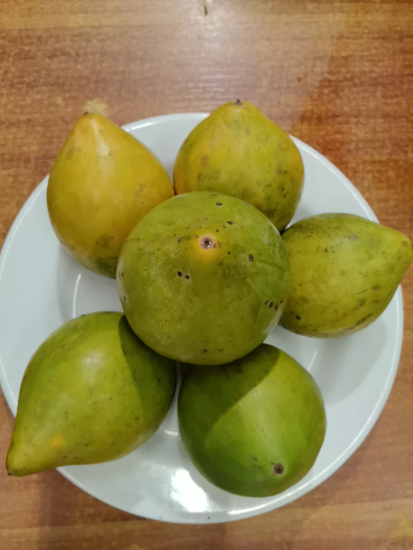 西双版纳-鸡蛋果