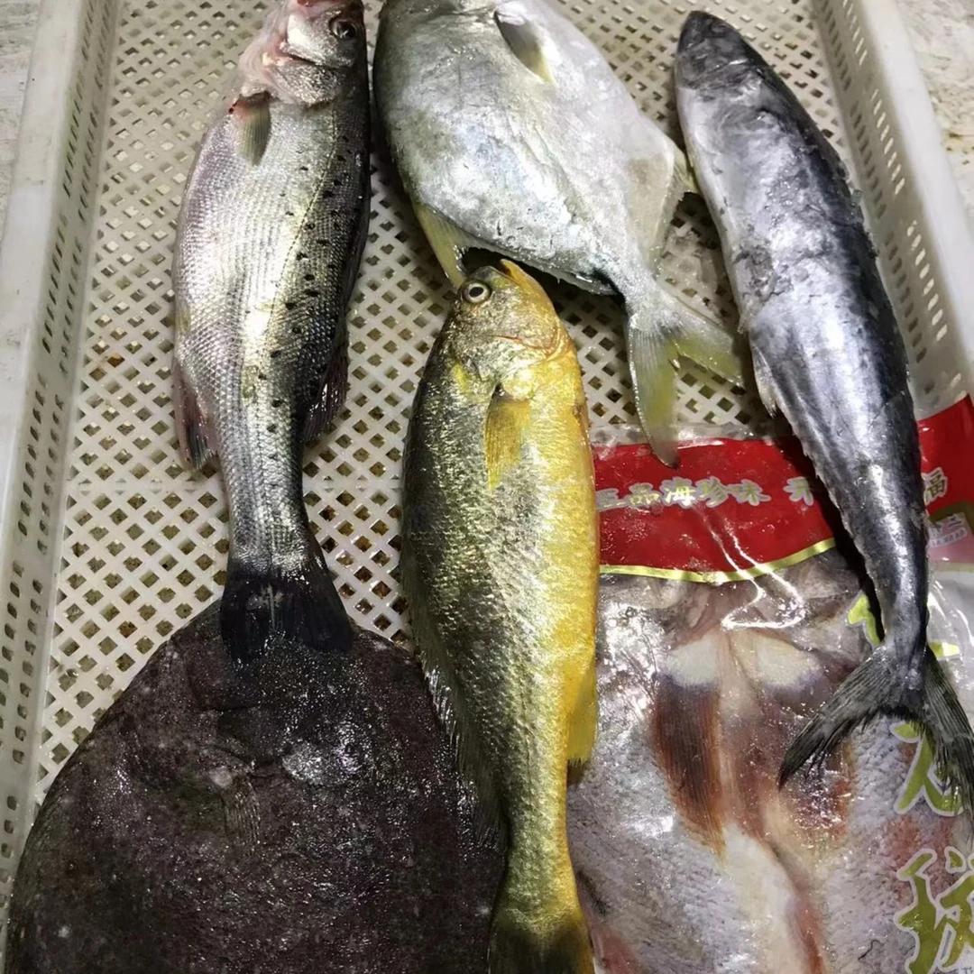 连云港 6种深海鱼混搭套餐6件套（6斤）
