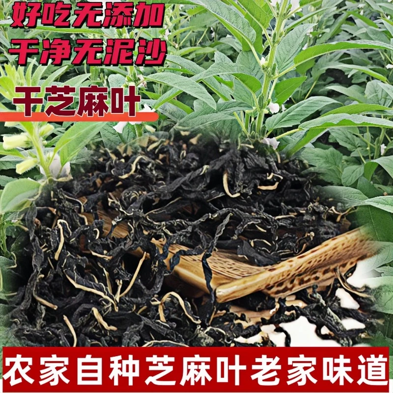 河南柘城2024新鲜农家自晒干芝麻叶河南特产精选自晒干活蔬菜