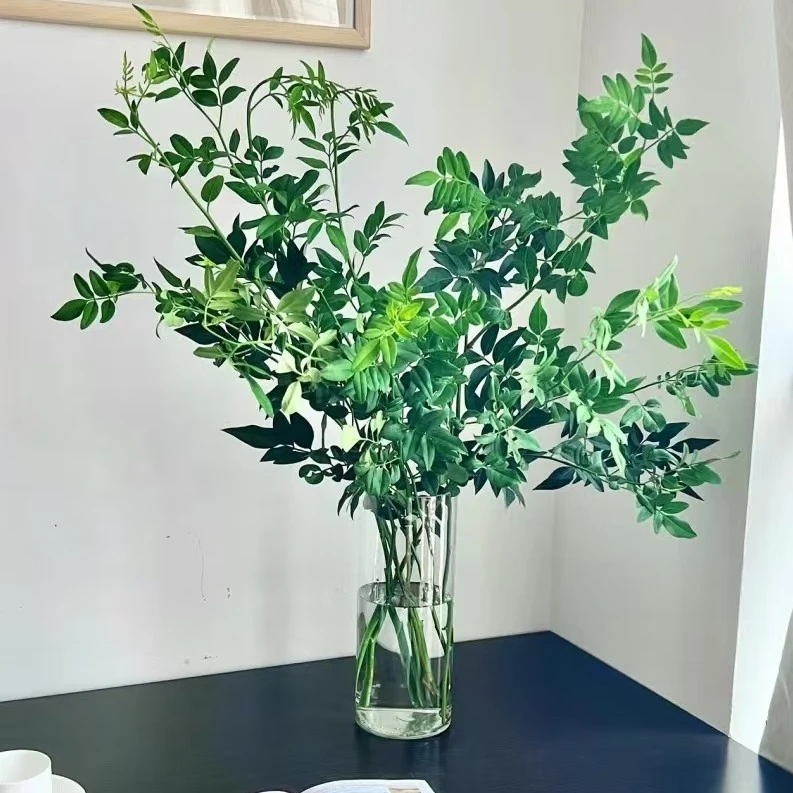 【沈阳桑野】九星叶 同城配送 最快1-3小时送达