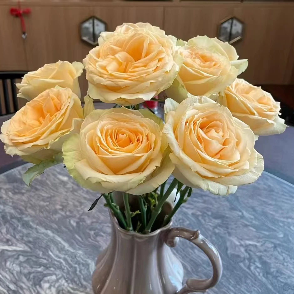 【沈阳桑野】蜜桃雪山 同城配送 最快1-3雪山送达