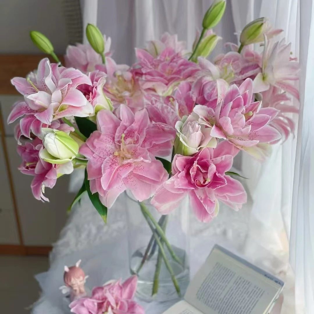 【沈阳桑野】3头粉拉菲百合 同城配送 最快1-3小时送达