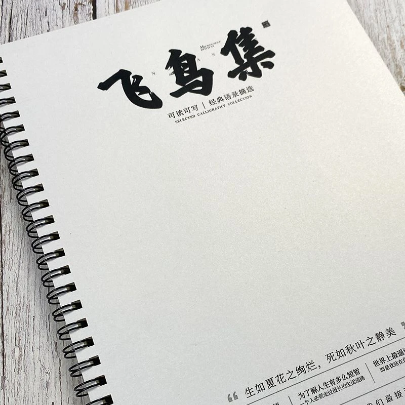 飞鸟集泰戈尔经典语录学生奶酪体鲸落体楷书硬笔练字帖描写临摹历