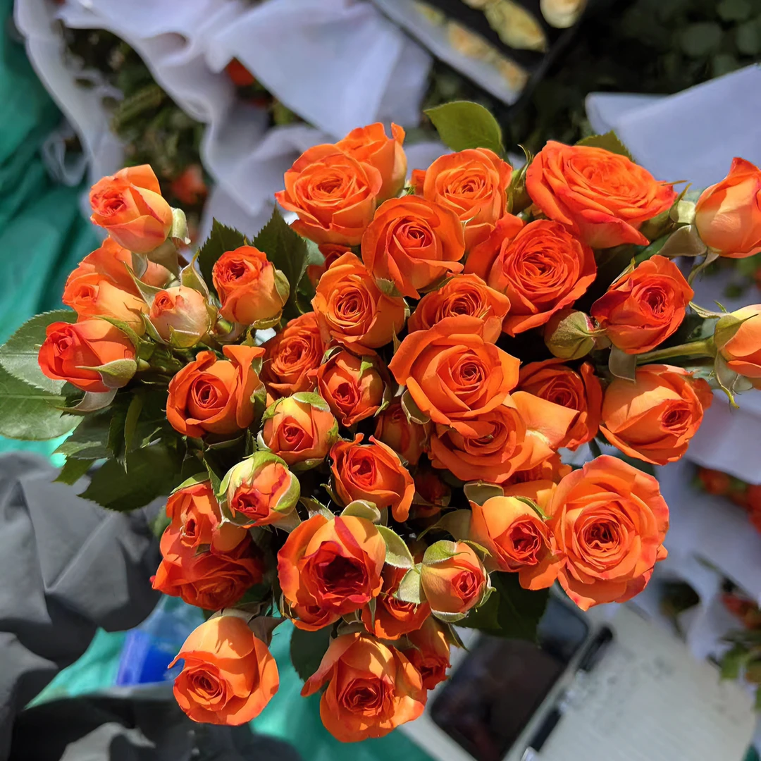 云听花卉多头玫瑰泡泡新鲜应季花香花店小袋现摘质量需要