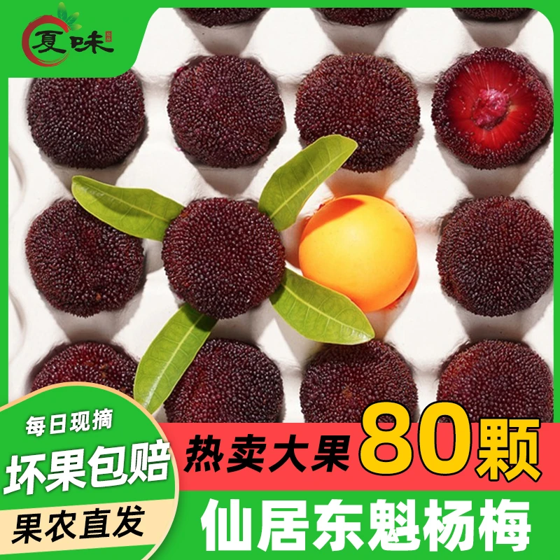 仙居东魁杨梅顺丰发货酸甜大杨梅颗粒装孕妇水果新鲜现摘送人送礼