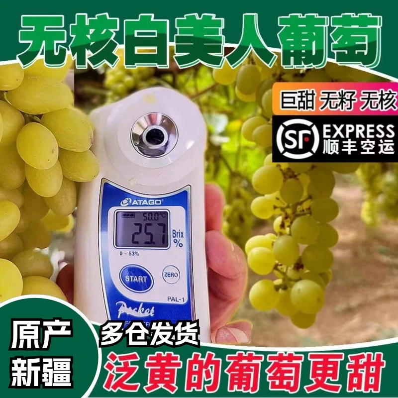 【Ａ纯甜无核】新疆吐鲁番无核白美人白葡萄顺丰冷链新鲜葡萄