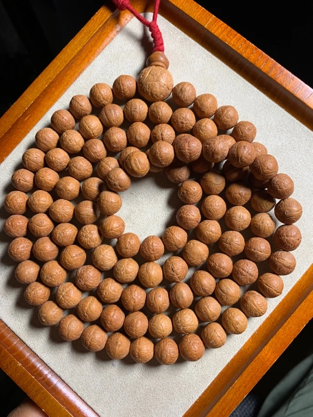 毕业级尼泊尔凤眼菩提,尺寸12,黄皮油籽,大眼睛