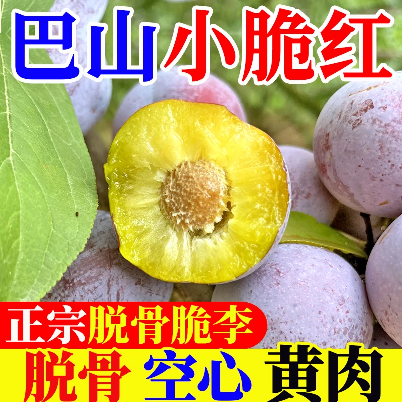 正宗汶川脱骨李脆红李四川李子空心李子新鲜水果半边红青脆李整箱