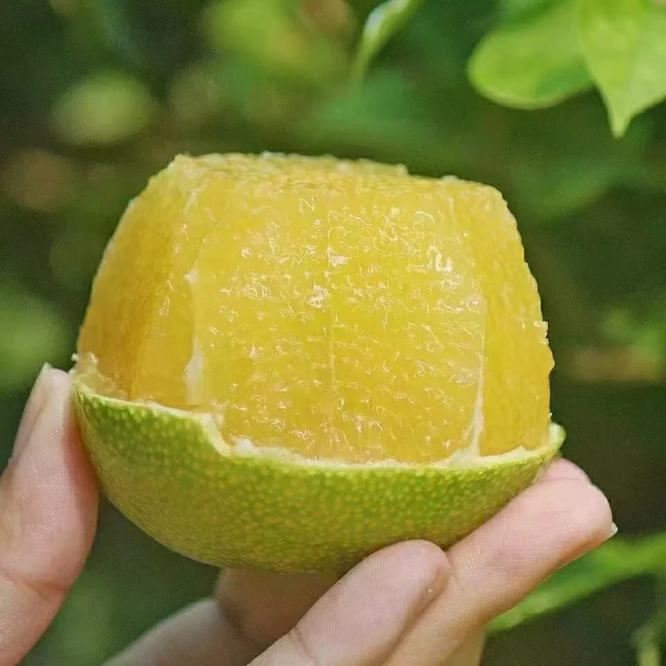 【云南高原冰糖橙】云南哀牢山冰糖橙汁多清甜四斤装现摘现发包邮