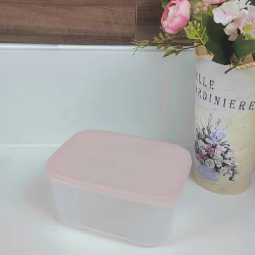 2个700毫升冷冻盒/密封冷冻/不串味/ 冰箱冷藏/冷冻/储藏盒