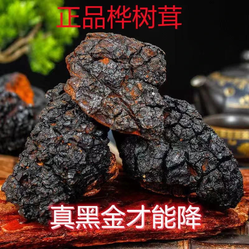 40年俄罗斯桦树茸带黑金纯野生进口不提取桦褐孔菌白桦茸桦树泪