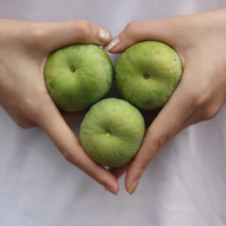 【清泉蜜脆李】两年果树苗嫁接李子裸根可盆栽果树苗晚熟新品种