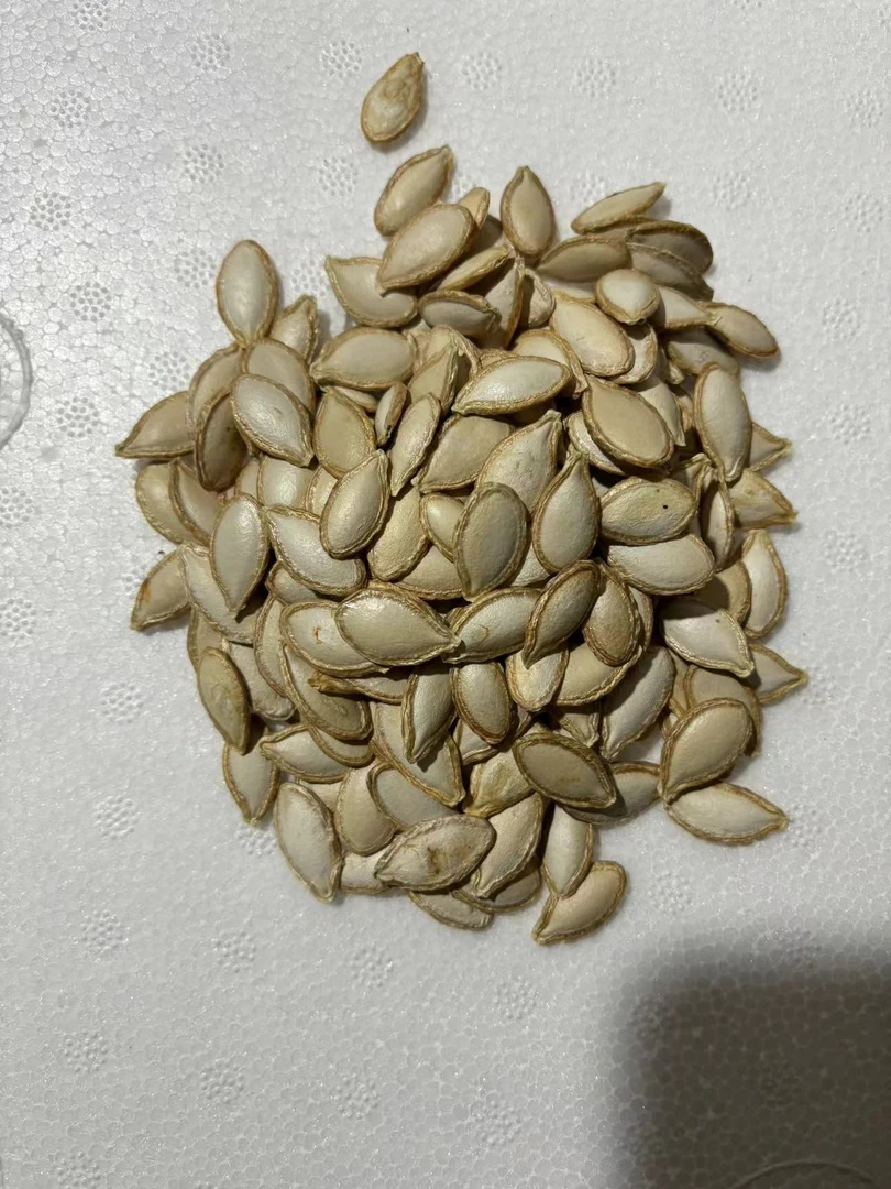 贵州农村阴包谷道独特（包邮）