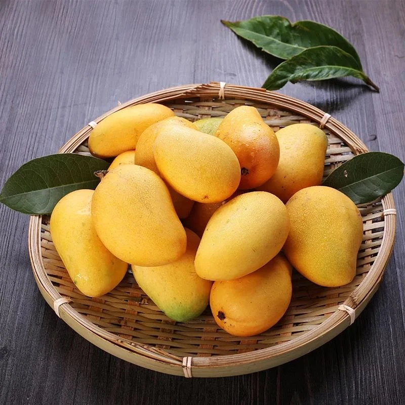 【福利品】正宗海南小台农台芒芒果当季水果成熟1/10斤非攀枝花芒果