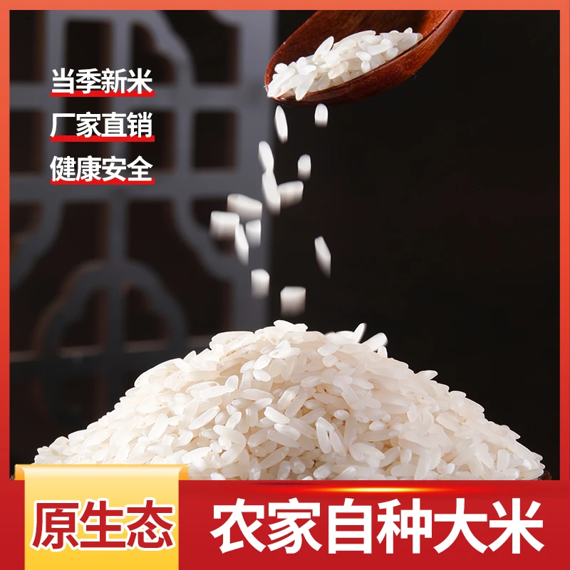 湖北农家自产现磨大米热销正宗甄选原产地直供正品自产自销新鲜