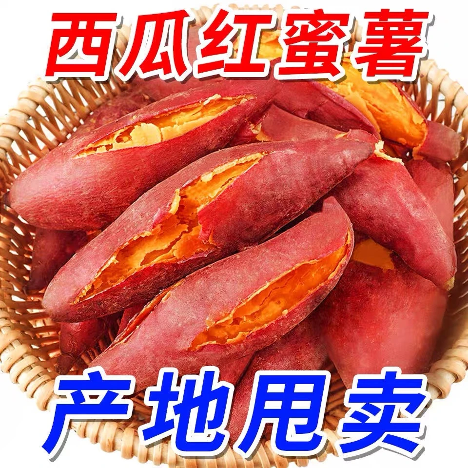 【抢购中】超甜沙地蜜薯1/10斤新鲜红薯干红薯饼板栗薯地瓜番薯烟