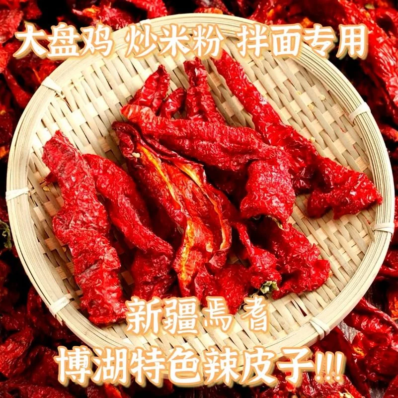 2024年新货新疆博湖辣皮子肉辣椒，微辣香甜，全国包邮（90%去黑）