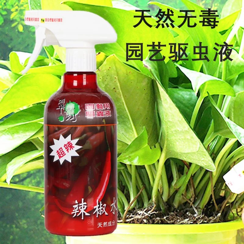红蜘蛛蚧壳虫害专用杀虫剂天然无毒家庭园艺驱虫液通用型使用适用