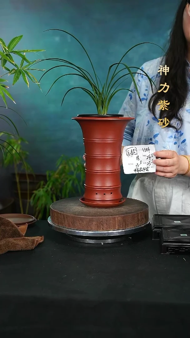 【闪购商品】紫砂花盆神力&紫砂花盆5584+Z