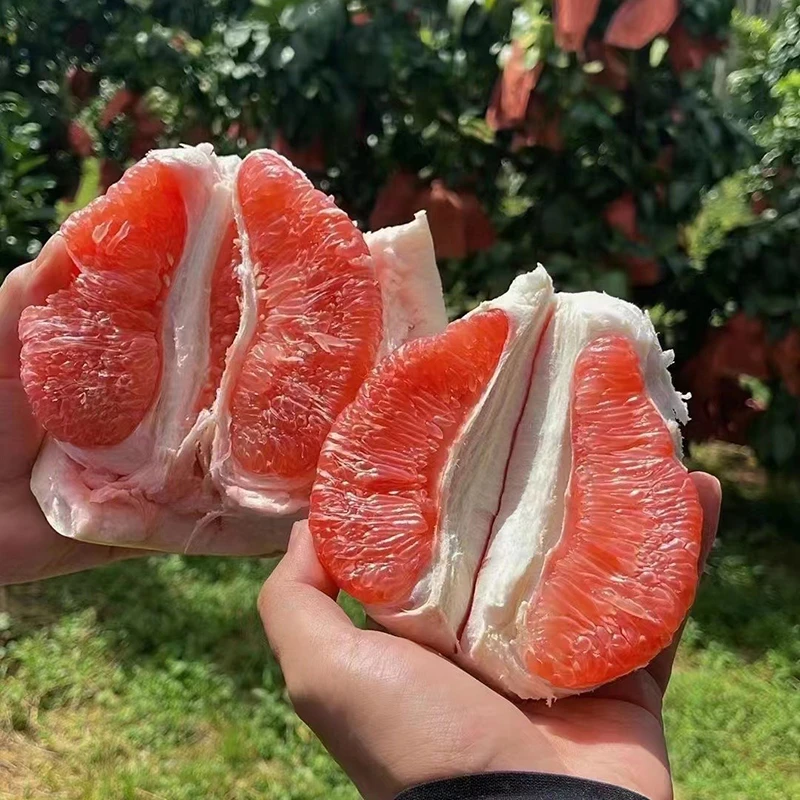 赣南红心柚子农家自种