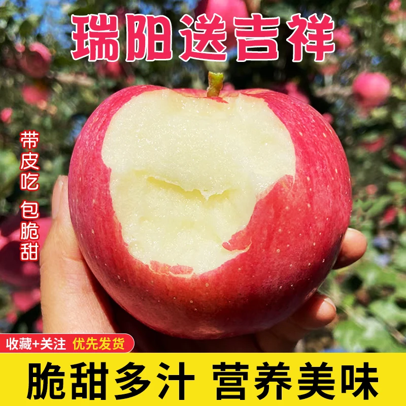 【周富贵】陕西白水瑞阳苹果新鲜苹果酥脆甜多汁整箱新鲜水果vs