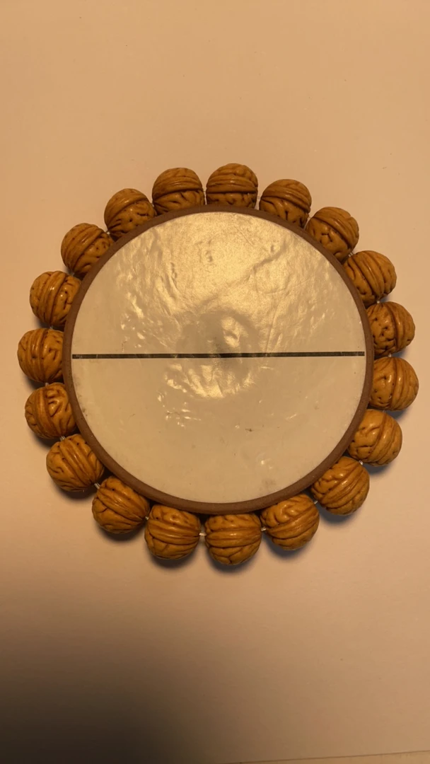 野生大肠纹小金豆
