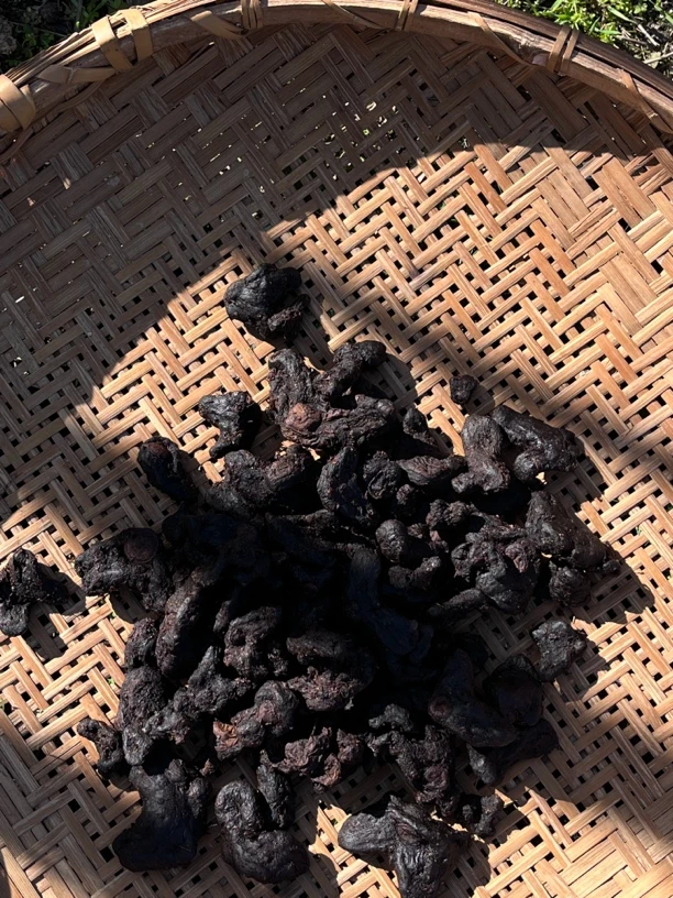 （陈紫进）深山自然生长九蒸九晒仙人余粮煮水煲汤泡酒