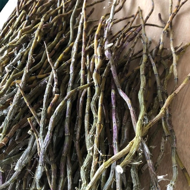 农产品铁皮条  浙江雁荡山铁皮浙江铁皮石角斗干 做菜搭配干条