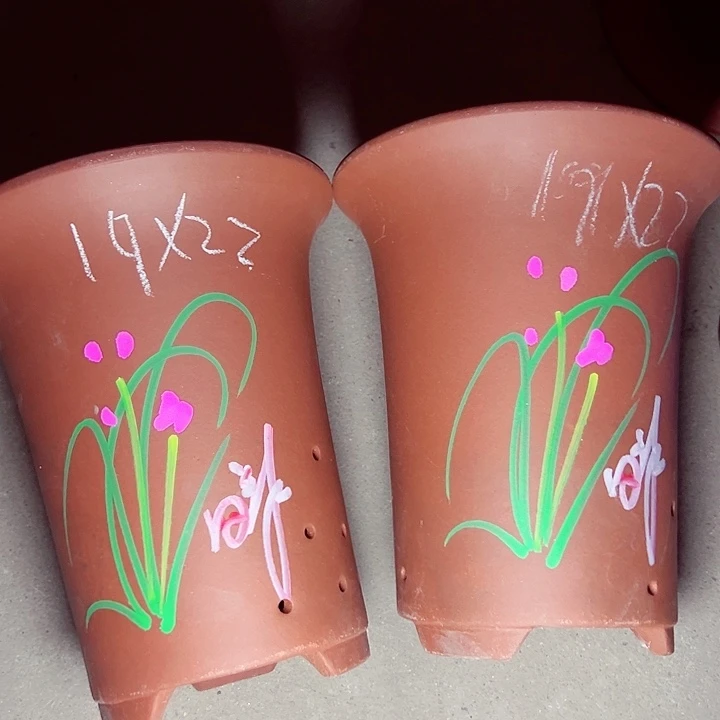 红陶20CM（含）-50CM（不含）紫砂紫砂