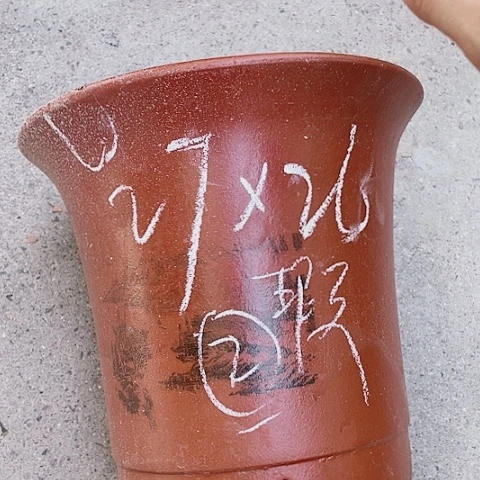 红陶110CM（含）-140CM（不含）紫砂紫砂