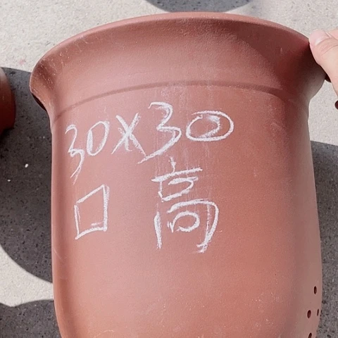 红陶110CM(含)-140CM(不含)紫砂紫砂