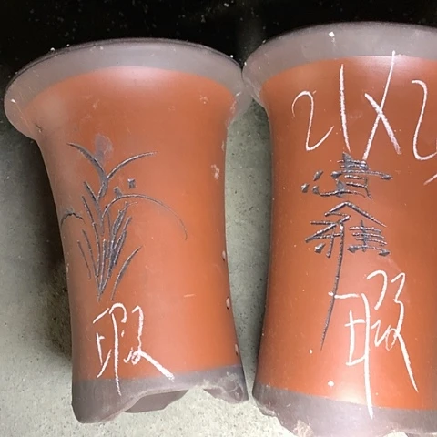 红陶110CM（含）-140CM（不含）紫砂紫砂