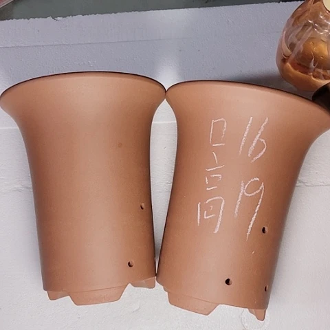 红陶110CM(含)-140CM(不含)紫砂紫砂