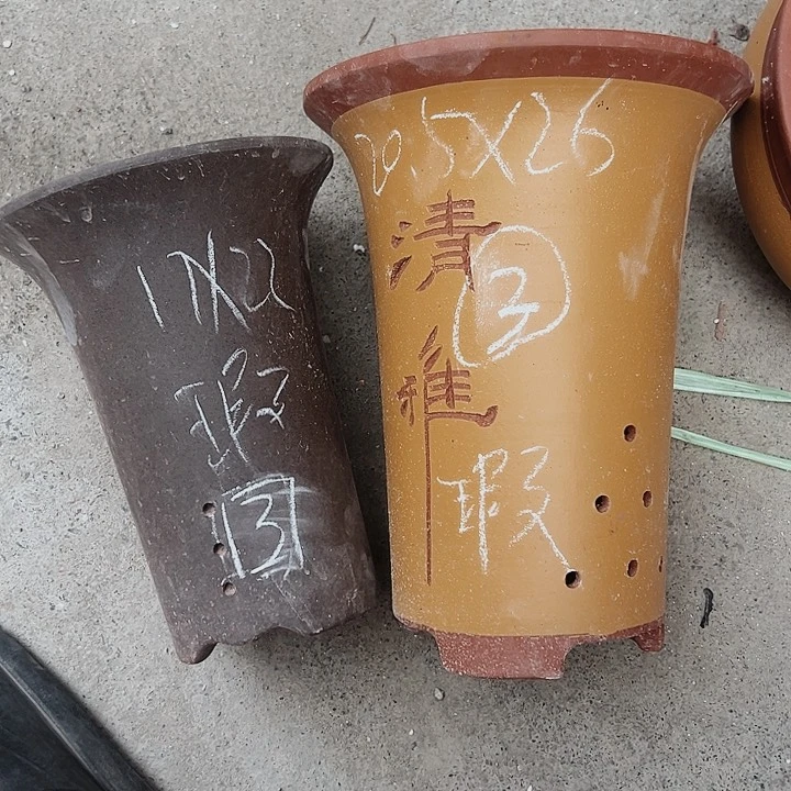 红陶20CM（含）-50CM（不含）君**蘭紫砂紫砂